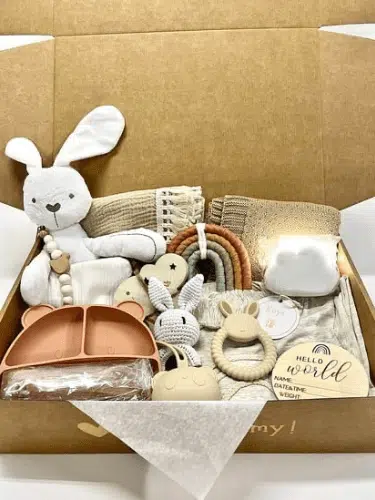 Untitled 375 x 500 px 4