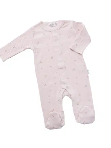 Untitled 700 x 500 px 600 x 400 px 2 2